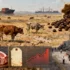 Trump Expects Deal To Lower Beef Prices — After 14% Surge In Past Year
