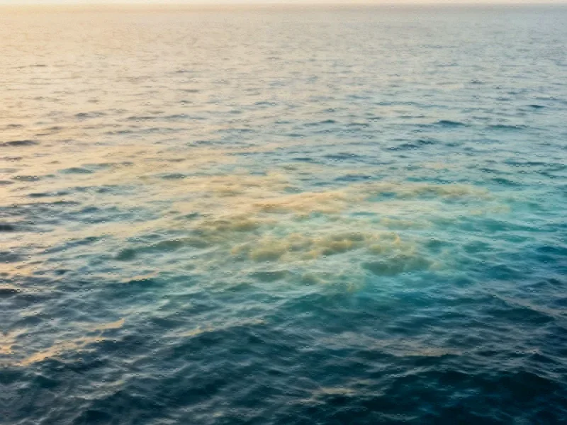 Unprecedented Marine Heatwave Reshapes North Pacific Climate Patterns