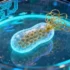 Engineering Life’s Blueprint: How Synthetic Biology is Reshaping Industrial Manufacturing