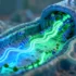 Breakthrough Study Reveals Novel Protein Regulating Malaria Parasite’s Key Survival Mechanism