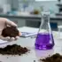 Global Soil Carbon Database Reveals New Health Indicators