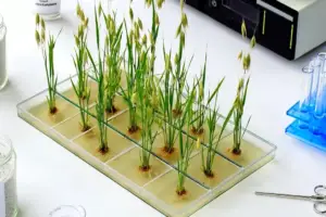 OpenAI's Prism Tool Sparks Fears of an "AI Slop" Flood in Science - Professional coverage